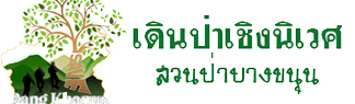 hiking/images/website-avatar/website_avatar_6a3aa1deecec8.png